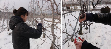 시료준비 이미지