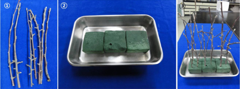 시료수삽 이미지