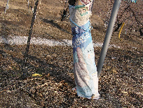 주간부 신문지 피복 이미지