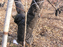 흑색 부직포 피복 이미지