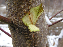 주간부 터짐부 정상관찰 이미지